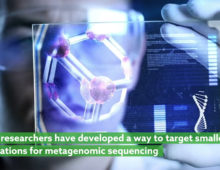 Click on the image or go here to watch the video "Enriching target populations for genomic analyses using HCR-FISH" from the journal Microbiome describing the research.