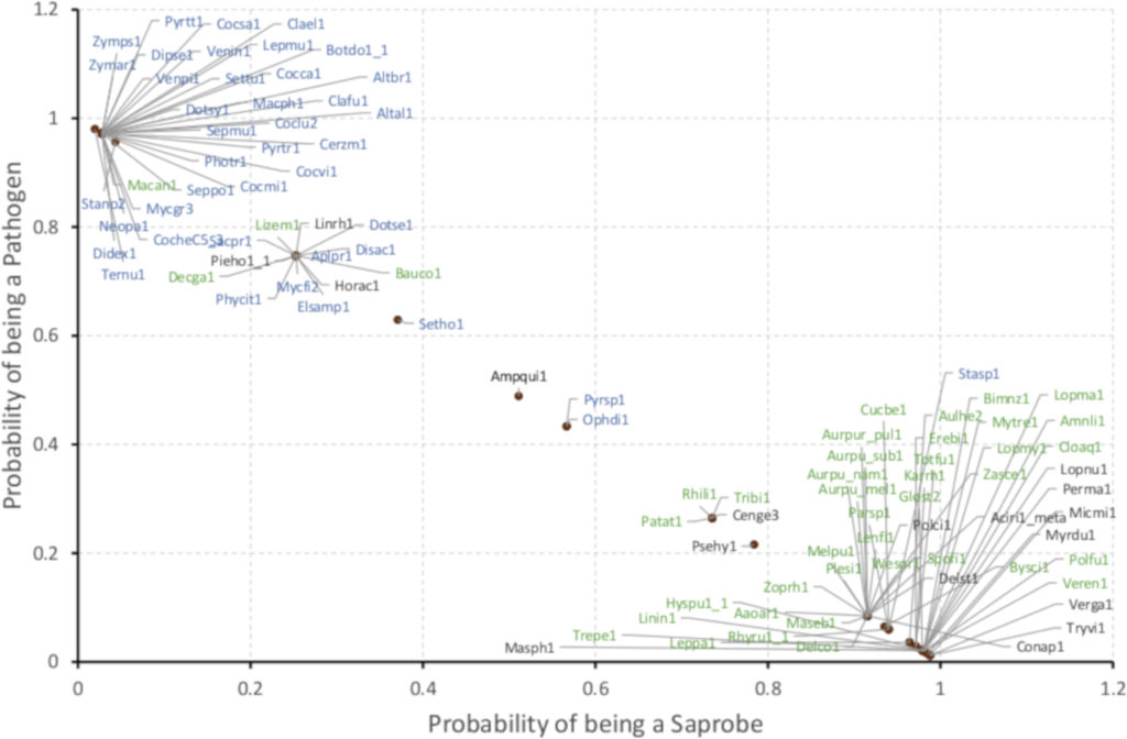 Support Vector Machine (SVM)-based prediction of lifestyle based on 6 gene clusters showed a >95 % accuracy in correctly predicting plant pathogens (blue) vs saprobes (green). (From Haridas S et al. Studies in Mycology, 2020.)