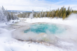 The bright, clear blue waters of Emerald Spring, in Yellowstone National Park, mix with yellow sulfur deposits to give off a bright green reflection. Note: this area was not studied by Devaki and her team. (NPS / Jacob W. Frank)