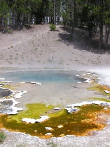 Octopus Spring