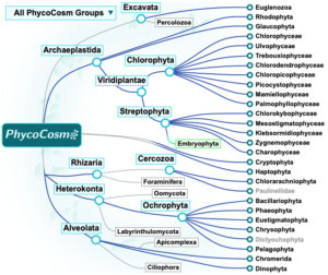 PhycoCosm web portal