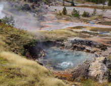 Hot spring in Yellowstone National Parks' Artist Paint Pot area. (Courtesy of Roland Hatzenpichler)