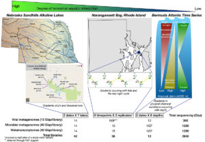 Studying gene to function linkages in viruses using ecosystem gradients. (Courtesy Eric Wommack)