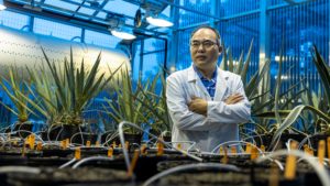 Xiaohan Yang, ORNL