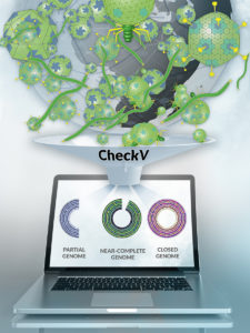 Artistic interpretation of CheckV assessing virus genome sequences from environmental samples. (Rendered by Zosia Rostomian​, Berkeley Lab)