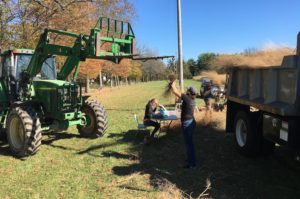 Harvesting the switchgrass growing at the Kellogg Biological Station in Michigan. (David Lowry)