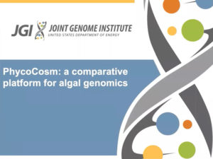 PhycoCosm webinar screencap