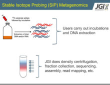 image for webinar on stable isotope technologies at the JGI and EMSL