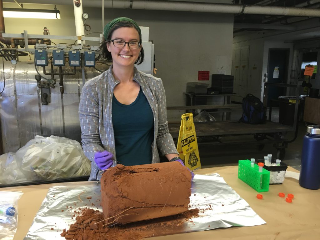 Erin, hard at work isolating rhizosphere samples from switchgrass grown at UC Berkeley. (Kateryna Zhalnina) 