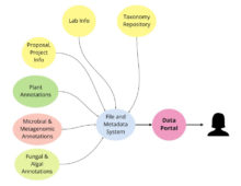 With a common set of "baseline metadata," JGI users can more easily access public data sets. (Steve Wilson)