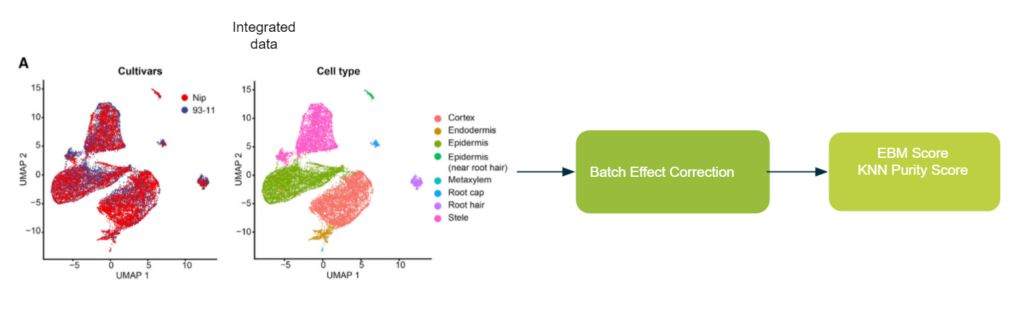 BatchBench Workflow