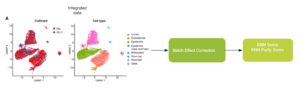 BatchBench Workflow