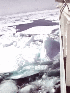 Sailing through Arctic Sea ice with one of the team’s sampling vessels, the Polarstern. These ice floes are approximately three to six feet thick. (Katrin Schmidt)