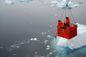 Scientists sample a brown mat of aggregated phytoplankton. (Katrin Schmidt)