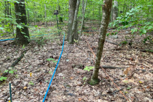 Using plots at the Harvard Forest long-term warming experiment, Kristen DeAngelis of the University of Massachusetts Amherst and colleagues are studying how chronic warming is altering how microbes interact with their environment, potentially accelerating soil carbon loss. Orange ribbons mark the heated plots and blue ribbons mark the control plots. (Mallory Choudoir)