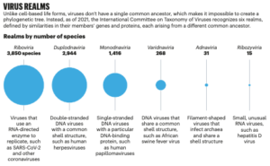 A summary of research on the origins and classification of viruses. (Nature | Vol 595 | 1 July 2021)