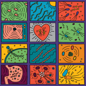 Collage capturing a diverse set of bacteria and functions that can be better understood using DAP-seq. (Eduardo de Ugarte/Berkeley Lab)