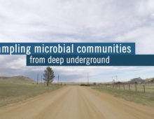 screencap from Amundson and Wilkins subsurface microbiome video