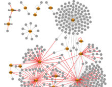 Data yielded from RIViT-seq increased the number of sigma factor-gene pairs confirmed in Streptomyces coelicolor from 209 to 399. Here, grey arrows denote previously known regulation and red arrows are regulation identified by RIViT-seq; orange nodes mark sigma factors while gray nodes mark other genes. (Otani, H., Mouncey, N.J. Nat Commun 13, 3502 (2022). https://doi.org/10.1038/s41467-022-31191-w)