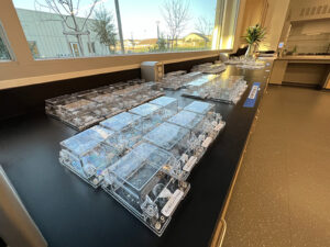 An array of growth chambers sit on a lab table for student experiments.